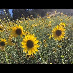 Meet your Posher, Taryn